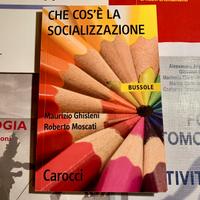 CHE COS’È LA SOCIALIZZAZIONE (Carocci)