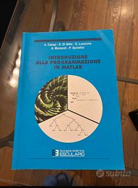 Libro introduzione alla programmazione in Matlab