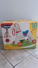 cavallino Chicco