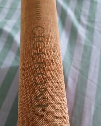 Volume d'epoca: Il nuovo Cicerone.  Libro d'arte S