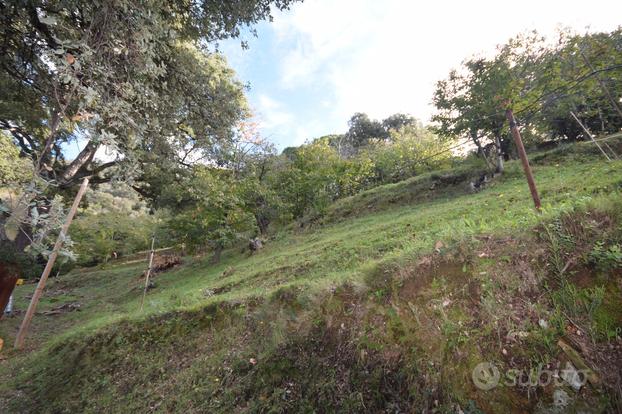 Terreno Panoramico a Scarlino