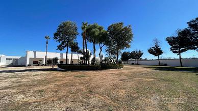 MULTILOCALE A ALLISTE