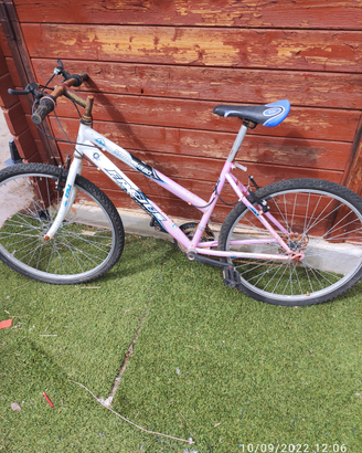 Mountain bike