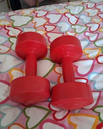 Pesi da palestra 