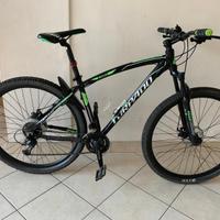 Bicicletta Torpado 29
