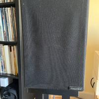 Diffusori casse Stand      Acoustical  Rs3i