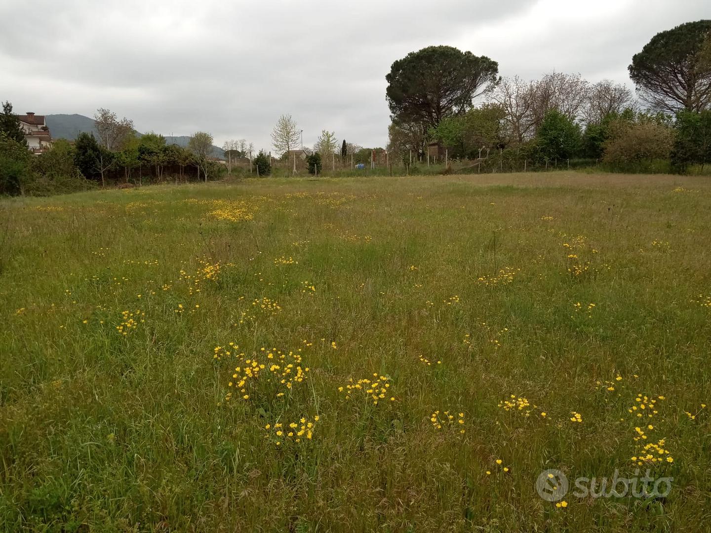 Terreno Riardo - Vista 2