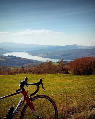 Bici da corsa