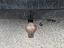 Immagine 23