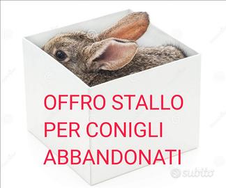 Stallo per conigli abbandonati