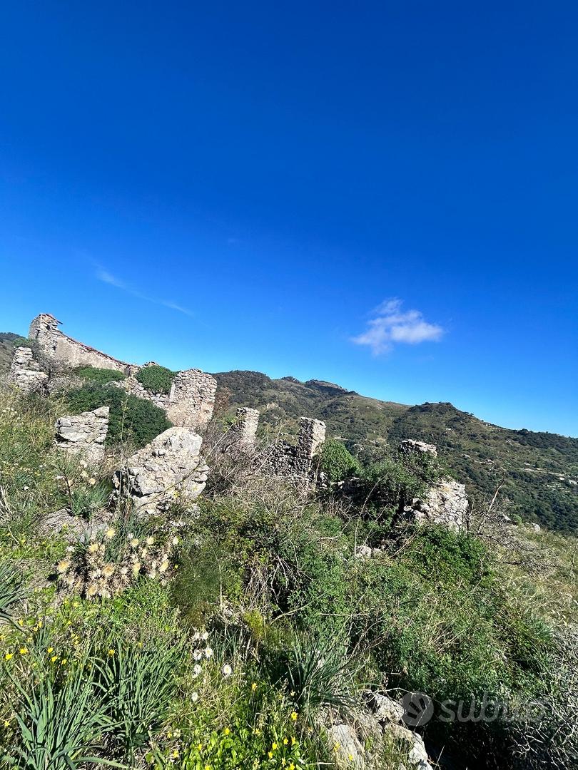 Terreno panoramico 4 ettari con rustico del 1860 - Altro