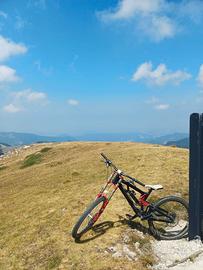 Bici downhill