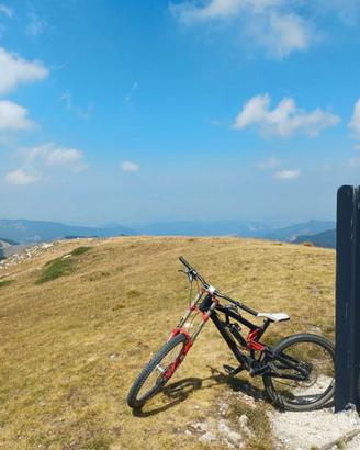 Bici downhill