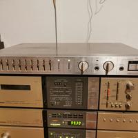 🎵Sony equalizzatore ibrido 