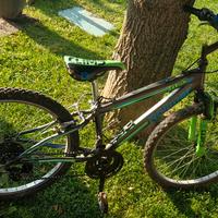 Bicicletta  bambino