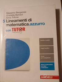 lineamenti di matematica azzurro 5