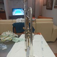 Tromba Roling's con custodia 