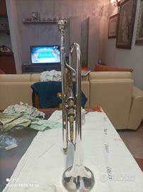 Tromba Roling's con custodia 