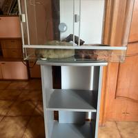 Teca / Terrario in vetro con mobile e accessori