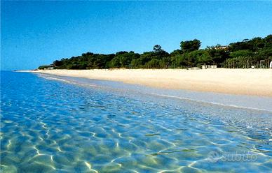 Casa vacanze costa dei gelsomini