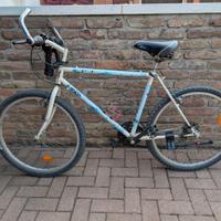 Bicicletta mountain bike CINELLI