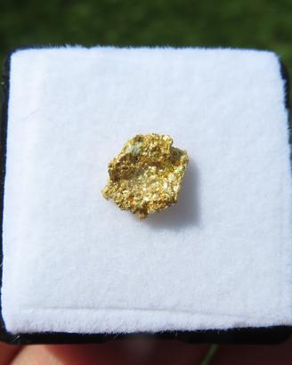 Pepita d’Oro Naturale Cristallizzata – Mt. Magnet