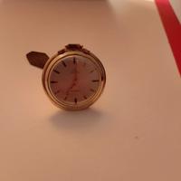 Orologio da taschino da collezione