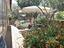 Immagine 5