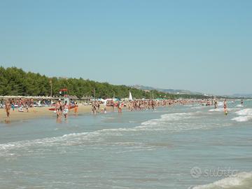 Appartamento a Pineto 2 Camere e mare vicino
