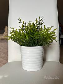 Set pianta Ikea + vaso in ceramica