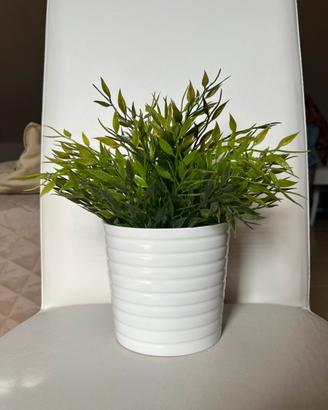 Set pianta Ikea + vaso in ceramica