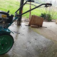 motozappa bertolini 203