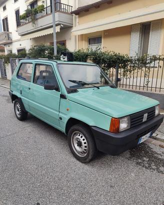 Panda Young anno 2000 benzina