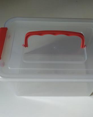 scatola plastica  con divisori 