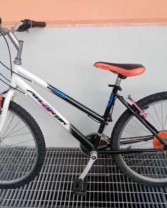 MOUNTAIN BIKE 18 RAPPORTI RUOTE DA 26"