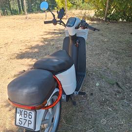 askol t2