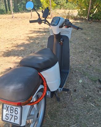 askol t2