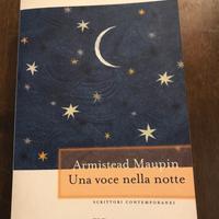 Una voce nella notte - Armistead Maupin
