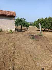 Terreno e casetta