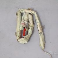 Tendina Airbag Destra Nissan Micra K13 2016