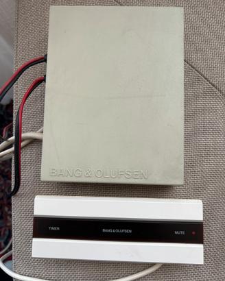 B&O apparati controllo cassa acustiche