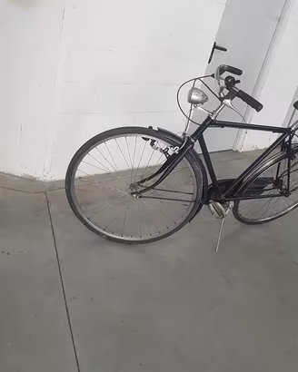 Bicicletta con le ruote da D 28 pollici 