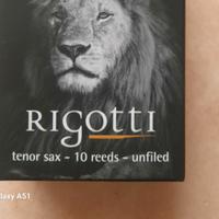 9 ance Rigotti Wild per sassofono tenore