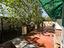 Immagine 25