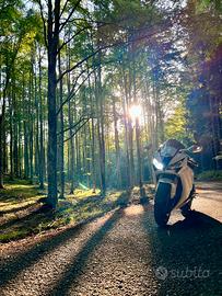 Honda cbr 1000rr 2009