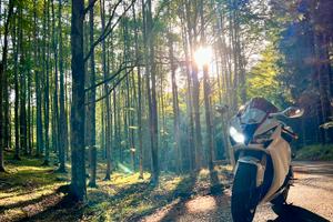 Honda cbr 1000rr 2009