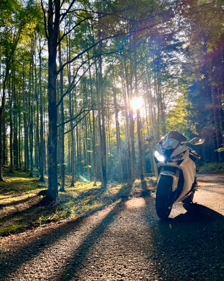 Honda cbr 1000rr 2009