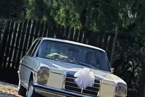 Mercedes 220