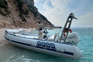 Suzuki Ari Nuovo/Asso 5.2m/CarrelloRimorchio Nuovo