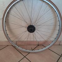 RUOTA AMBROSIO GENTLEMAN COMPLETA CON PIGNONI 6V